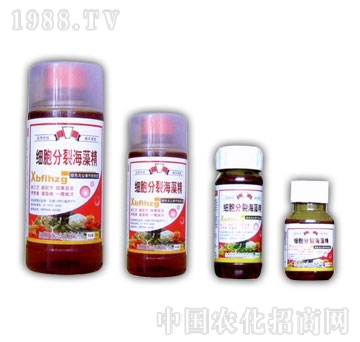 ��ɽ����-�������Ѻ��徫