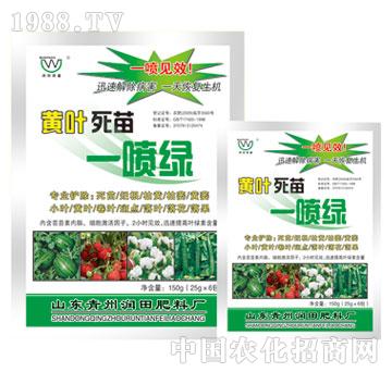 ����-�S�~����һ���G