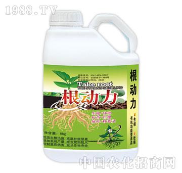 ����-������