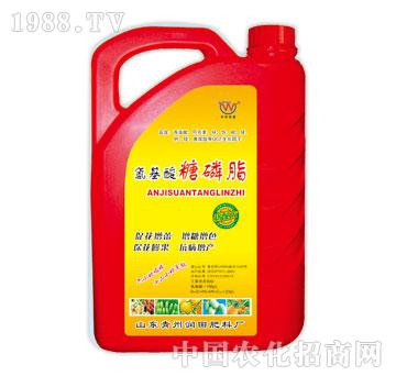 ��(r��n)��-����������֬