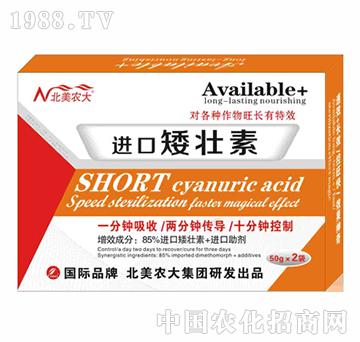 �M(j��n)�ڰ�����-�����r(n��ng)��