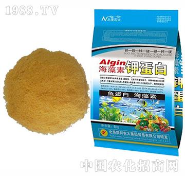 ������⛵���-�����r(n��ng)��