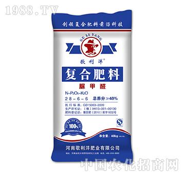 ���ȩ��(f��)�Ϸ���28-6-6-������