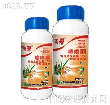 37%���ͪ-�w��-����