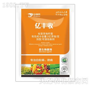 ���ΰ׷۲��P��-�|�S��-����̩