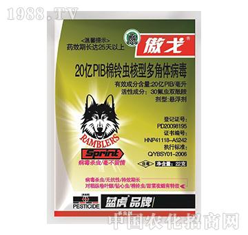 20�|PIB����x���Ͷ���w����-����-���_����