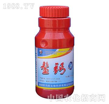 ���}-�W��˹