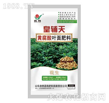 ���o���S�����~����ϣ�������-���з���