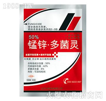 50%�i�\����`-�읙����