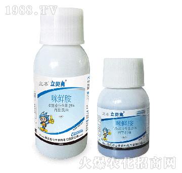 25%���r������-��ؐ��-��������