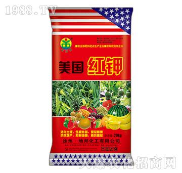 �����t�-�ذ�Ȫ