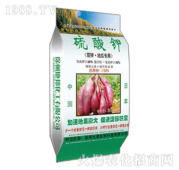 �عό�(zhu��n)�������-�ذ�Ȫ