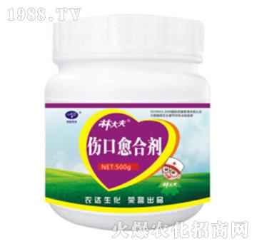 �ִ��������τ�-�r�_����