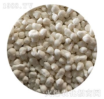 �����@�w��-����S