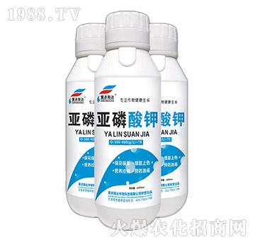 ������⛣�ƿ��-���r(n��ng)˹�_