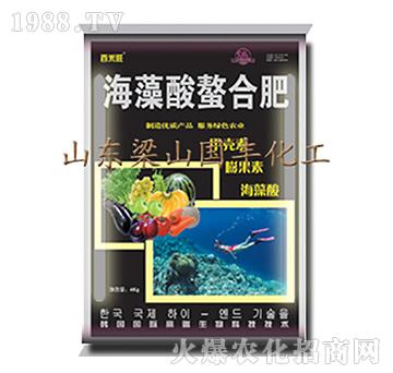 ���������Ϸ�-��ɽ���S