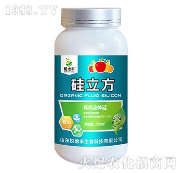 �ЙC(j��)���w��-������-�����S