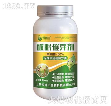 ��ѿ���߄�-�����S