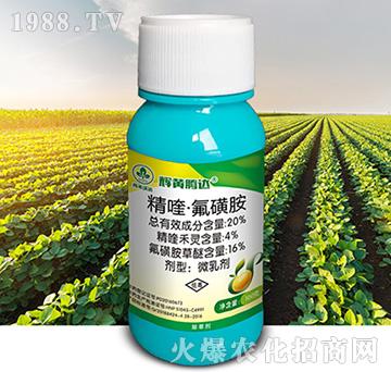 20%��ୡ����ǰ�-�x�S�v�_(d��)-�к����_(d��)