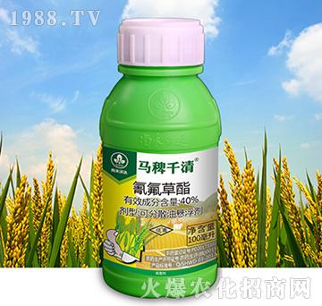 40%�������-�R��ǧ��-�к����_(d��)