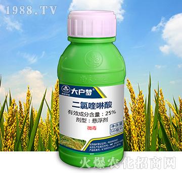 25%���������-����-�к����_