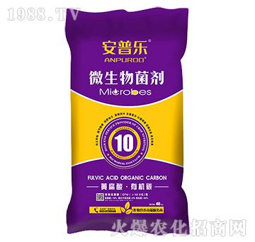 10�|ÿ���S�����ЙC̼΢�������-���՘�-�f�����B(t��i)