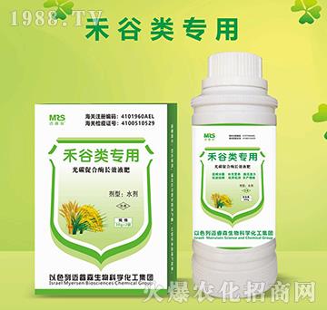 �̹���ù�̼�ٺ�ø�LЧҺ��-�~�ɭ