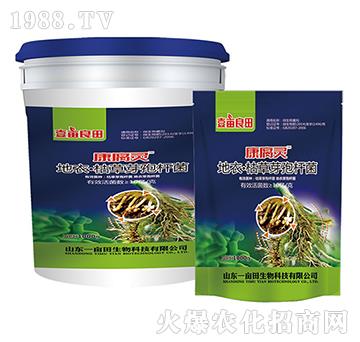 ���¡��ݲ�ѿ�ߗU��-�����`-Ҽ������