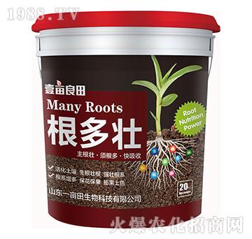 ������-Ҽ������