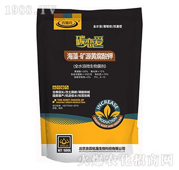 ���塤�VԴ�S�����-̼�ِ�-Ȫ�����