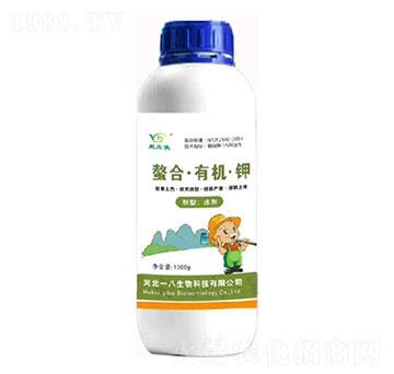 �߼���⛷�-���ϡ��ЙC�-һ������