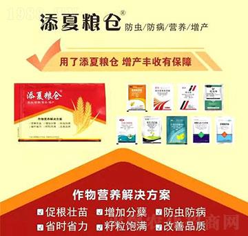 ����I(y��ng)�B(y��ng)��Q����-���ļZ�}-�S�՘�