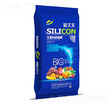 �����ЙC(j��)����-�����{(l��n)��-�����ʘI(y��)