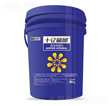 ΢�������-ʮ�|���F-�����Ƽ�