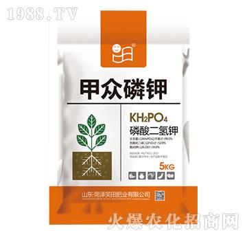 ��������-�ױ����-Ц��