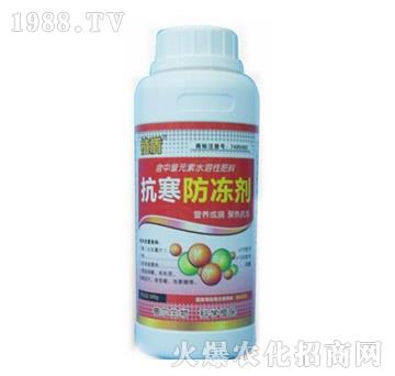 ����������-ֲ��-� �����