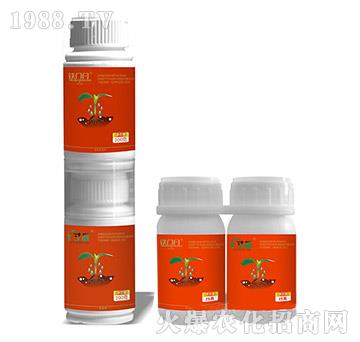 5%���x��+10%��Ч�������-���+�F�T�V-��ֲ��