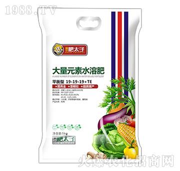 ƽ���ʹ���Ԫ��ˮ�ܷ�19-19-19+TE-��̫��