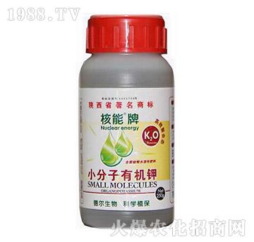 ������С�����ЙC�-� �����