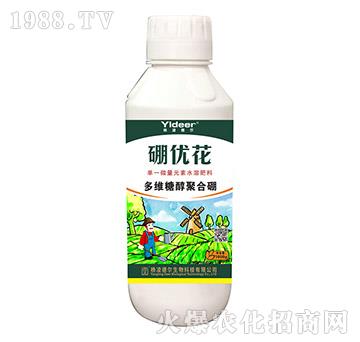 ��S�Ǵ��ۺ���-����(y��u)��-� �����