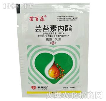 �|̦�؃�(n��i)��-��٘�-������