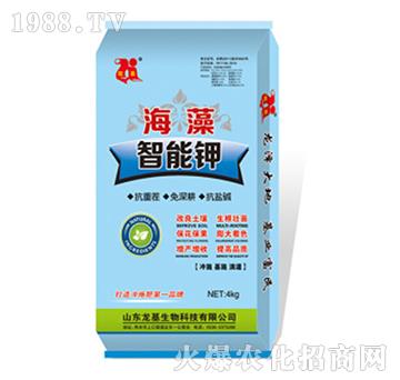 ���������-��������