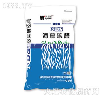 NDS����̼ø-������