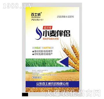 С����H-��ʿ��