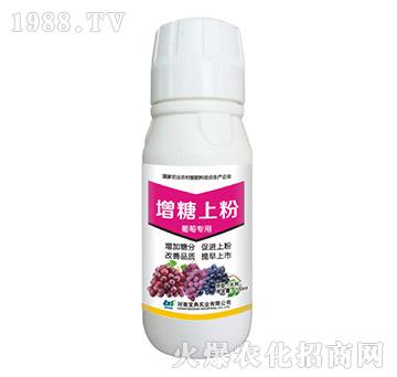 ���ь��������Ϸ�-���䌍�I(y��)