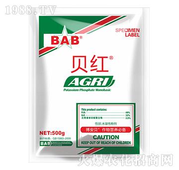 500gؐ�t-����ؐ