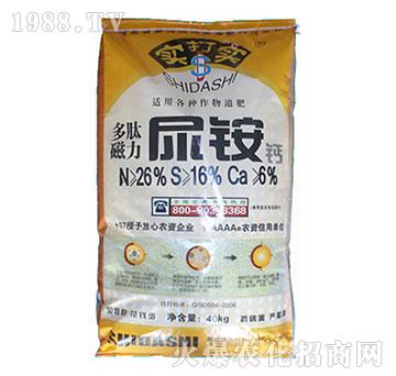 ���Ĵ������@�}-��(sh��)��?q��)? width=