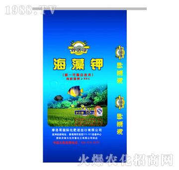 �����-Ħ���-���R��