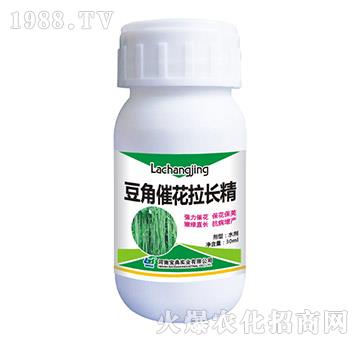 ���Ǵ߻����L��-���䌍(sh��)�I(y��)