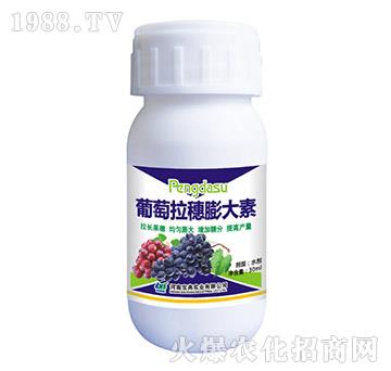 �������������-���䌍(sh��)�I(y��)